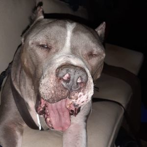 Meet your Posher, Jeff